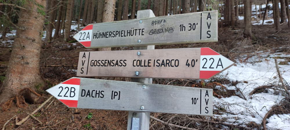 Escursione al Rifugio Cima Gallina
