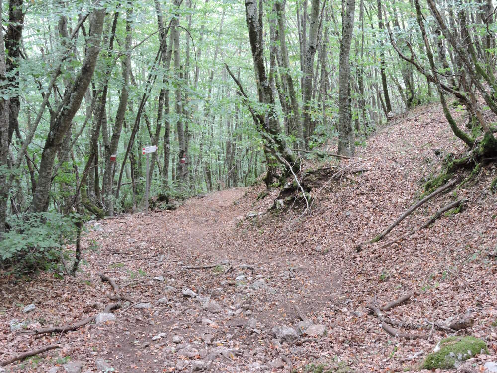 Cammino dei Briganti