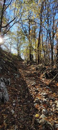 sentiero Monte Pellecchia