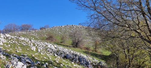 cima Pizzo Pellecchia