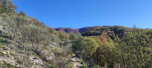 Monte Pellecchia sentiero
