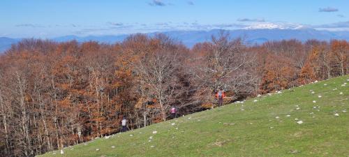 panorama monte Pellecchia