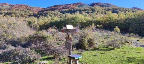 Monte Pellecchia sentiero 312