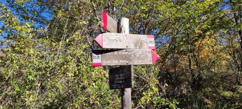 5 Monte Pellecchia sentiero 312