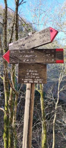 Monte Pellecchia bivio