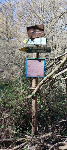 Monte Pellecchia bivio