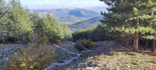 Direttissima al Monte Velino 16