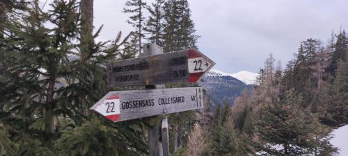 2-San-Silvestro-al-Rifugio-Cima-Gallina